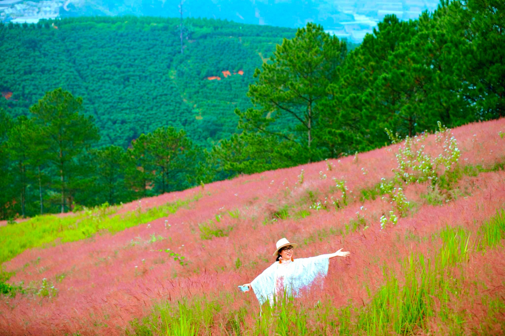 Loài cỏ dại vốn khô cằn nay bung nở rực rỡ, bao phủ trọn vẹn sườn đồi. Những bông cỏ mỏng manh, phất phơ trước gió nhưng lại tạo thành những mảng màu mạnh mẽ, đối lập hoàn toàn với màu xanh thẫm của rừng thông già phía sau. Ảnh: Trần Anh Chiến