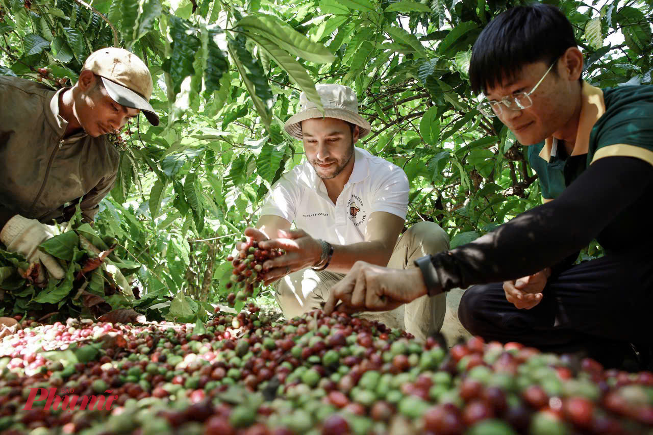 Với nhiều người, mùa thu hoạch cà phê ở Tây Nguyên không đơn thuần là một hoạt động sản xuất nông nghiệp, mà là hành trình trải nghiệm văn hóa sống động, chân thực giữa đời sống bản địa.