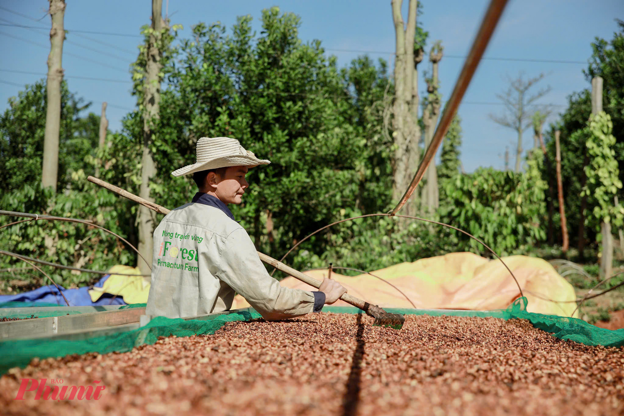 Chính sự chân thật, gần gũi trong các trải nghiệm mùa thu hoạch, đặc biệt là tại những mô hình sản xuất bền vững, đã khiến nhiều du khách “mê mẩn” hương vị cà phê Tây Nguyên. 