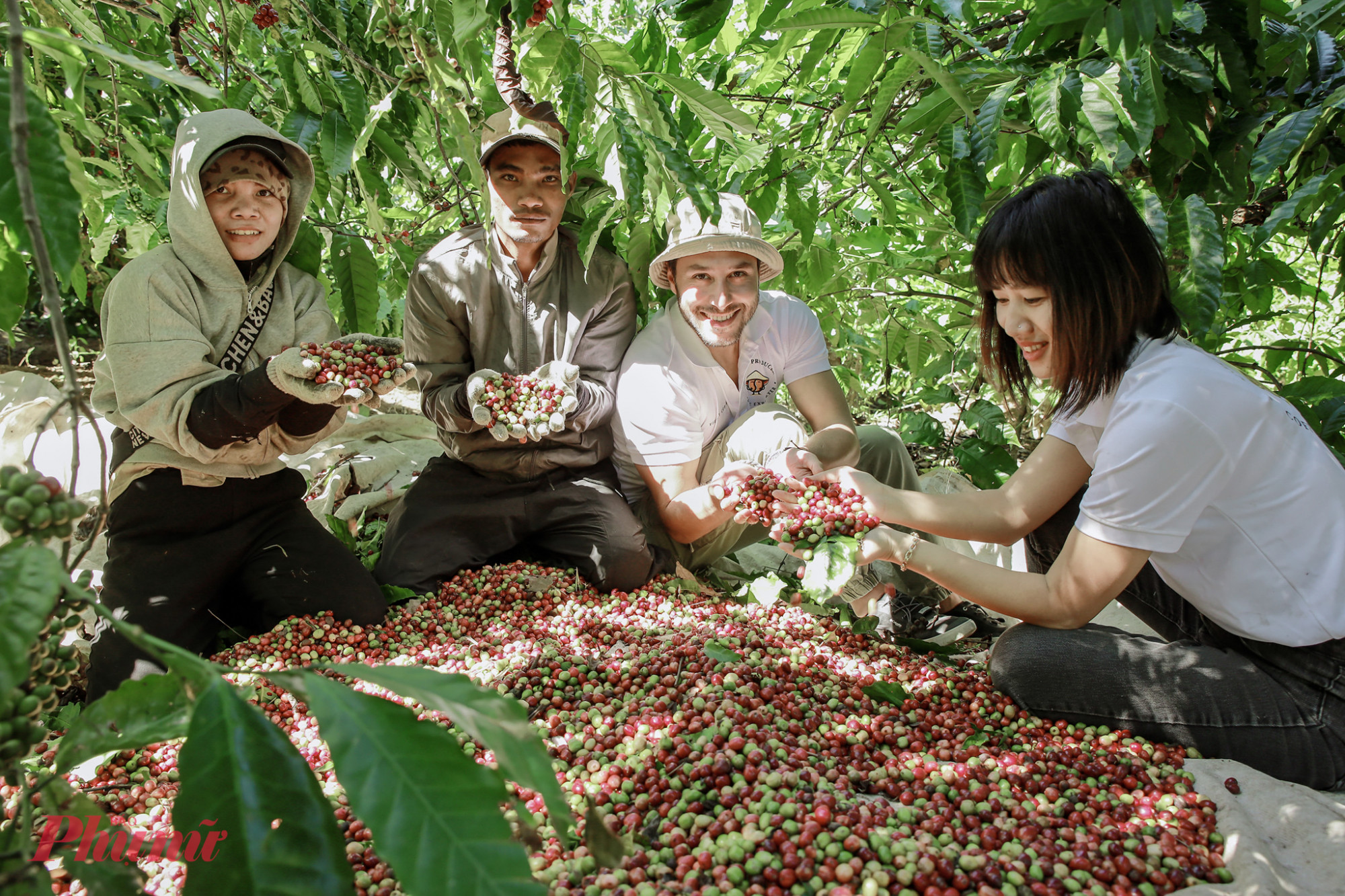 Lần đầu hòa mình vào nhịp điệu lao động giữa thiên nhiên rộng mở, nhiều du khách tỏ ra thích thú, hào hứng.
