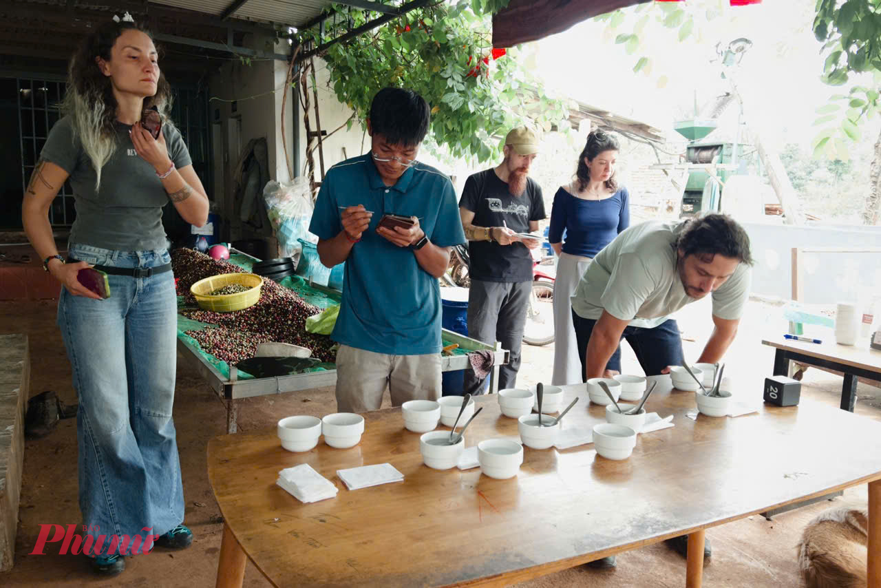 Những tách cà phê pha phin, cà phê trứng hay cà phê máy được thưởng thức ngay giữa không gian nông trại, mang đến cảm nhận trọn vẹn về hương vị cao nguyên - Ảnh: T.D.