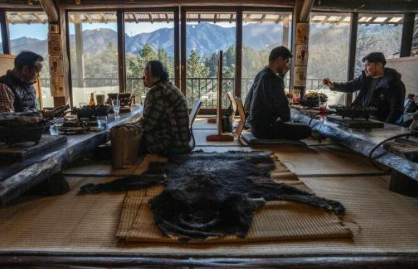 Một nhà hàng thịt gấu Mọi người dùng bữa bên tấm thảm da gấu tại một nhà hàng phục vụ thịt gấu ở Chichibu, tỉnh  Saitama Ảnh: AFP