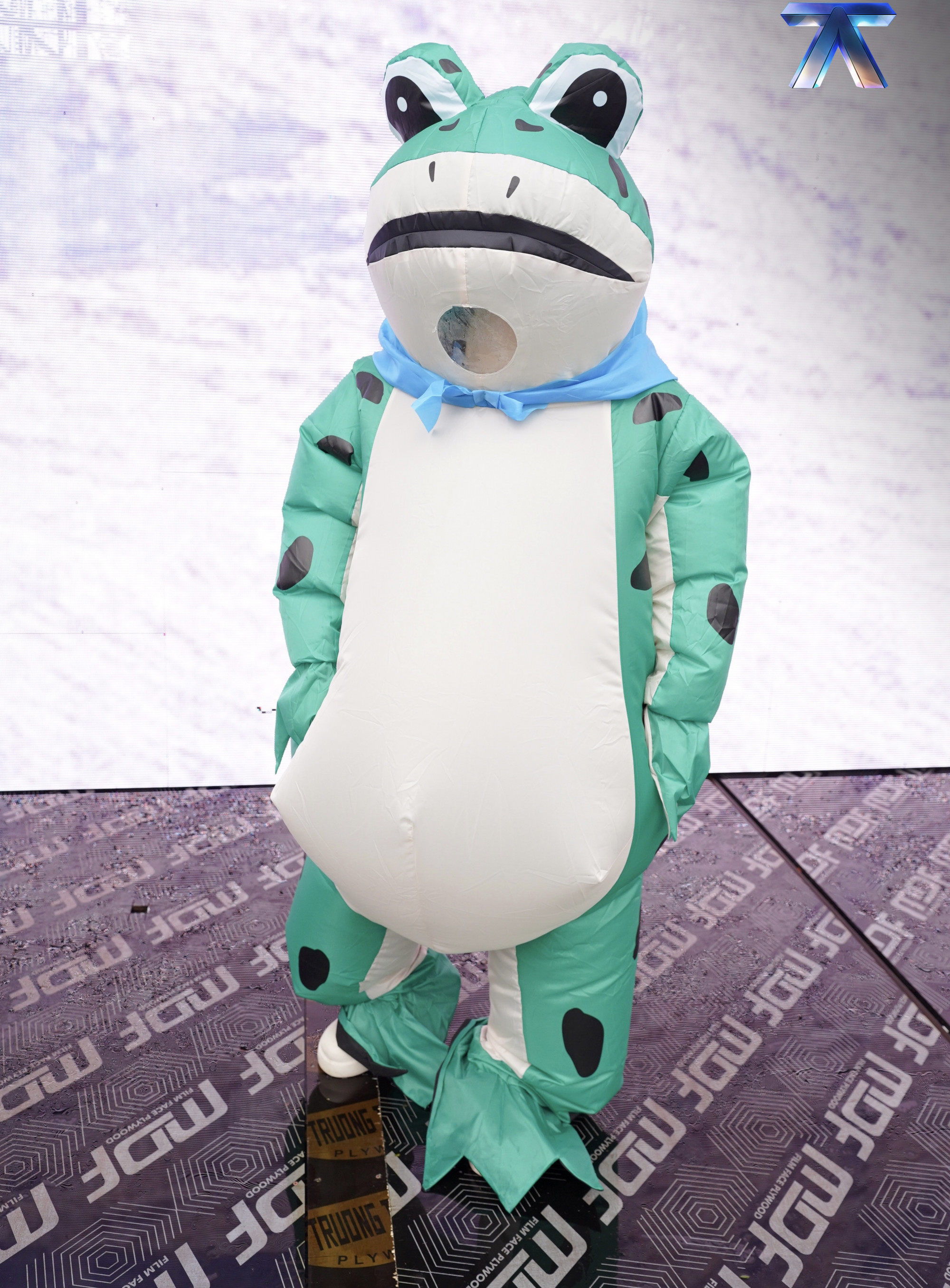 Anh trai OgeNus mang đến tạo hình chú ếch trông vui nhộn. 