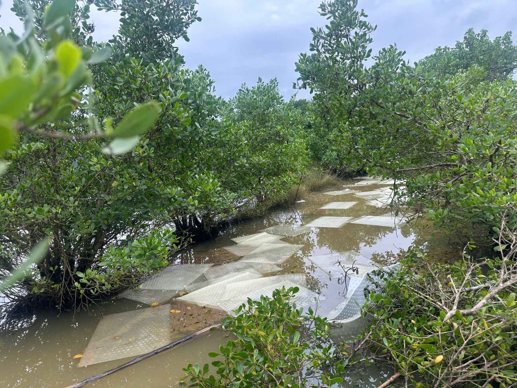Ghi nhận thời điểm dầu tràn làm ô nhiễm đất canh tác của người dân_Ảnh: UBND xã Vạn Tường.