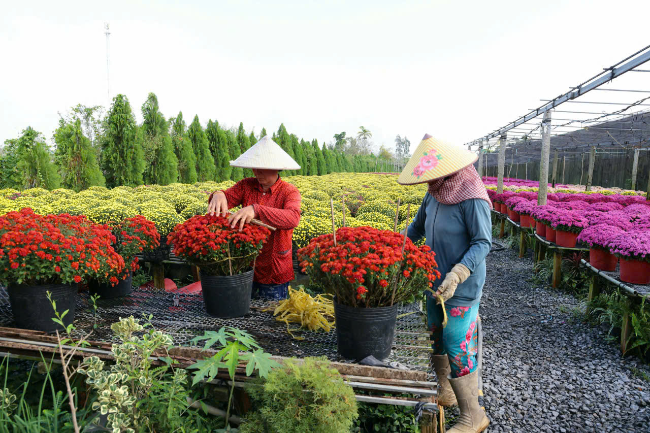 Cần khai thác đa dạng ngành hoa kiểng để tăng thêm giá trị... Ảnh: CTV
