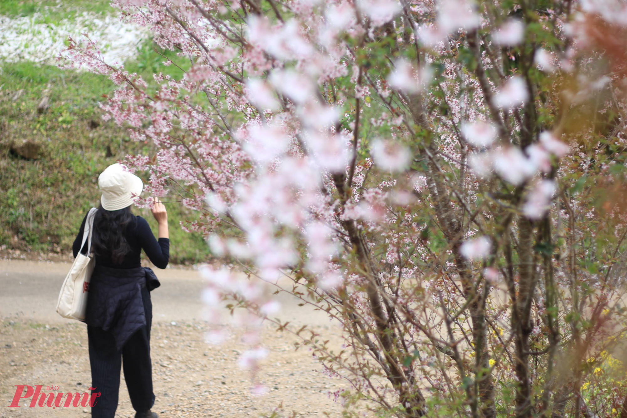 Việc luôn trong tâm thế sẵn sàng cho công việc, lo lắng bị phát hiện sẽ khiến bạn nhanh kiệt sức hơn - Ảnh: Huỳnh Hằng