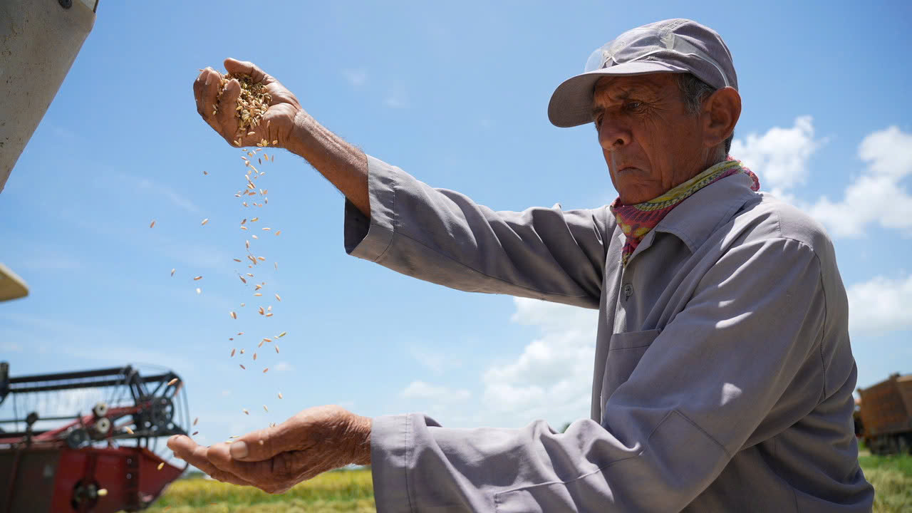 Việt Nam và Cu Ba hợp tác mạnh trong lĩnh vực nông nghiệp