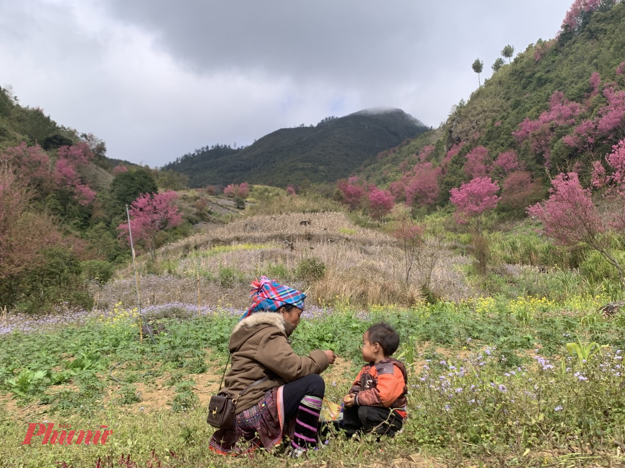 Đồng bào người Mông giữa