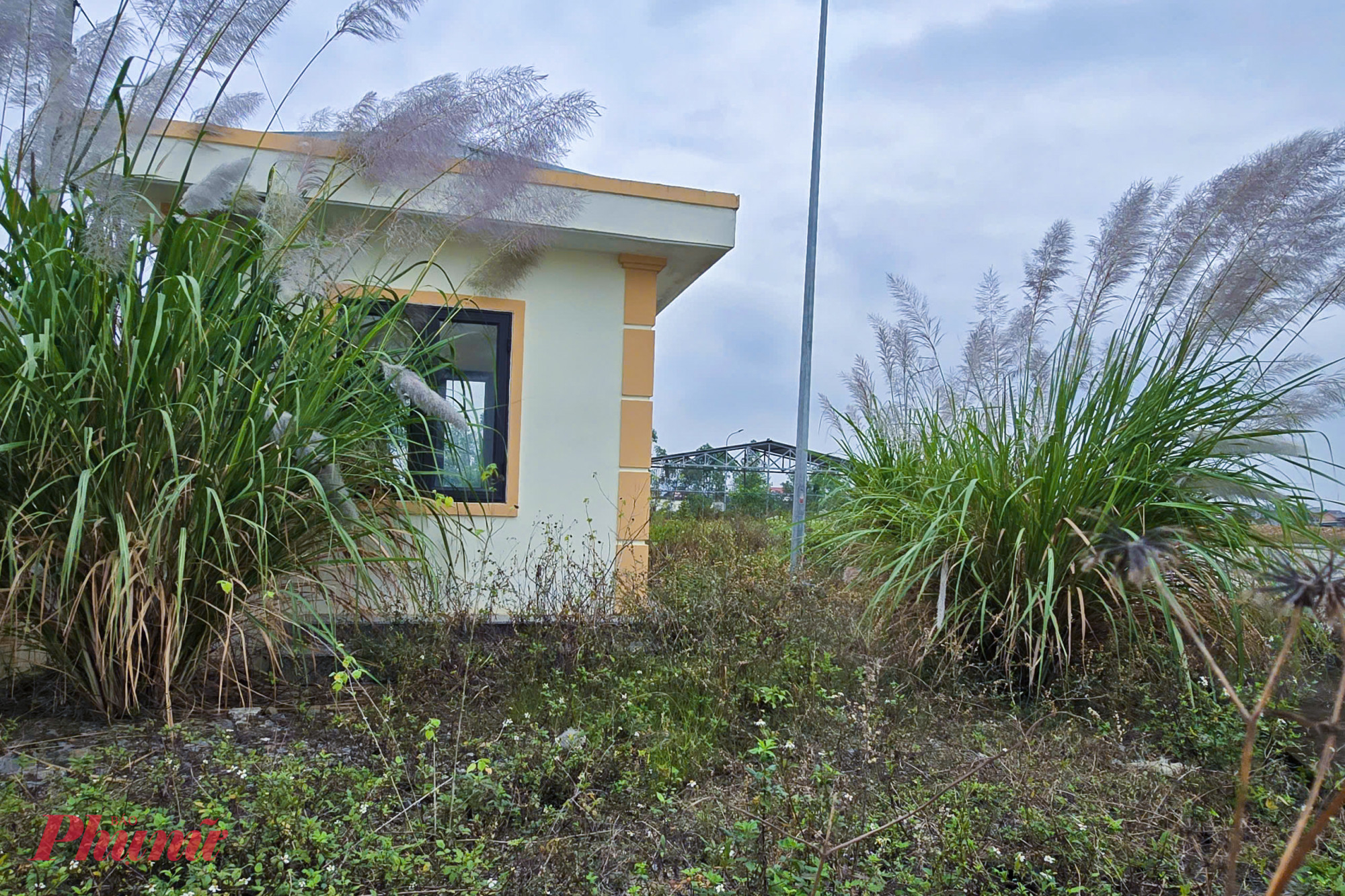 Đến nay, giai đoạn 1 của Trung tâm Y tế Hoàng Mai đã cơ bản đã hoàn thành. Tuy nhiên, do vẫn còn thiếu nhiều hạng mục nên chưa thể đưa vào vận hành, khai thác. Do dừng thi công lâu ngày, nhiều hạng mục đã bị cỏ dại bủa vây.