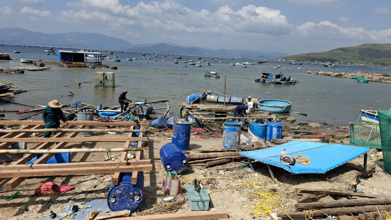 Giá một số nguyên liệu phổ biến dùng làm nhà lồng như: tre, gỗ đồng loạt tăng 30%. Riêng tôm giống thì tăng gấp đôi, hỉ khoảng 25.000 đồng/con tôm giống hiện tăng giá lên khoảng 50.000 đồng/con, trong khi trước đây c.