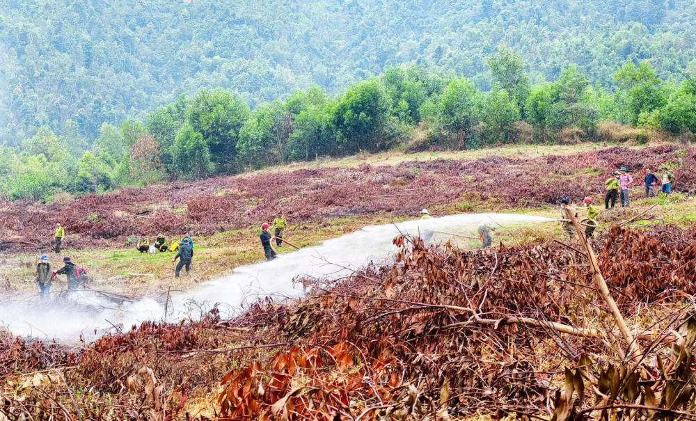 Vườn quốc gia Cát Tiên tổ chức diễn tập phòng cháy, chữa cháy rừng năm 2025 - Ảnh: Dương Bảo