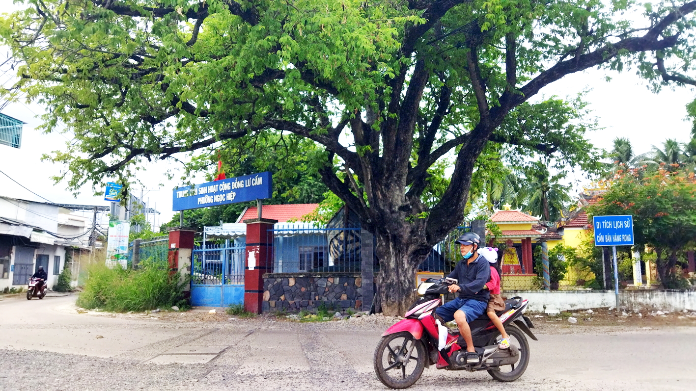 Cây me nơi đầu đình vẫn xanh tốt như thuở nào