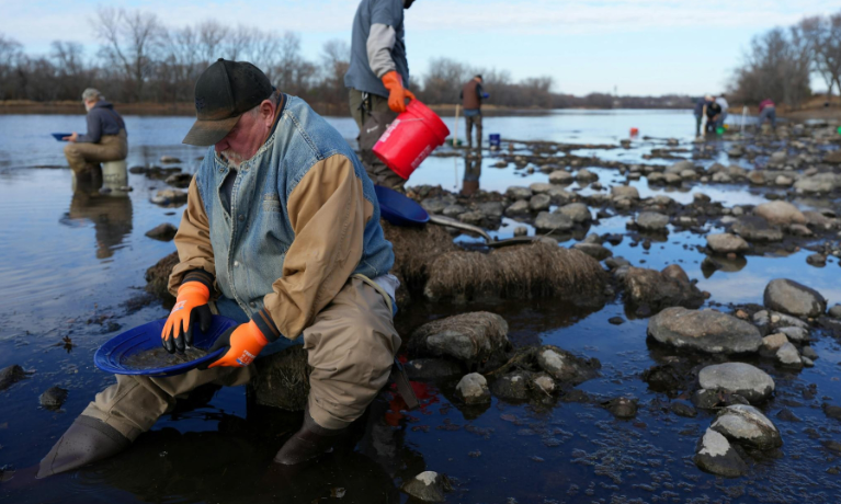 Nhiều người tìm vàng ở Mỹ