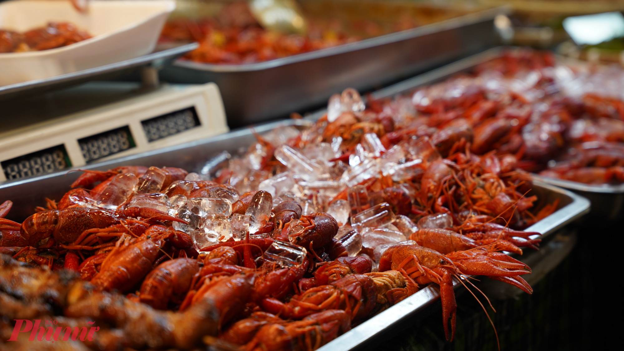 Các gian hàng hải sản từ tươi sống đến hải sản nhập khẩu cũng xuất hiện tại Tuần lễ Văn hóa Quốc tế - Đón mừng năm mới 2026