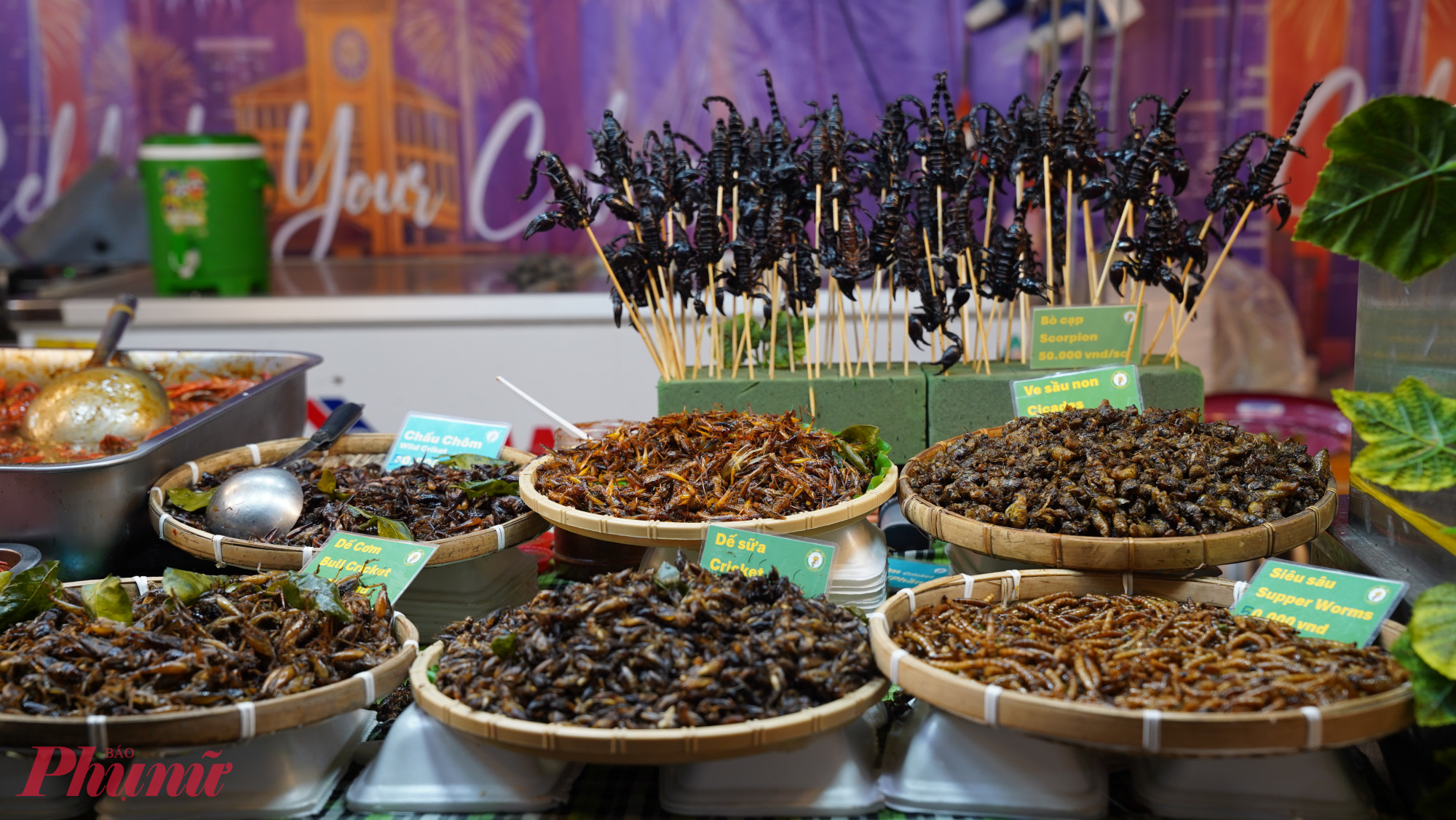 Các loại côn trùng, ấu trùng dế, sâu tre,