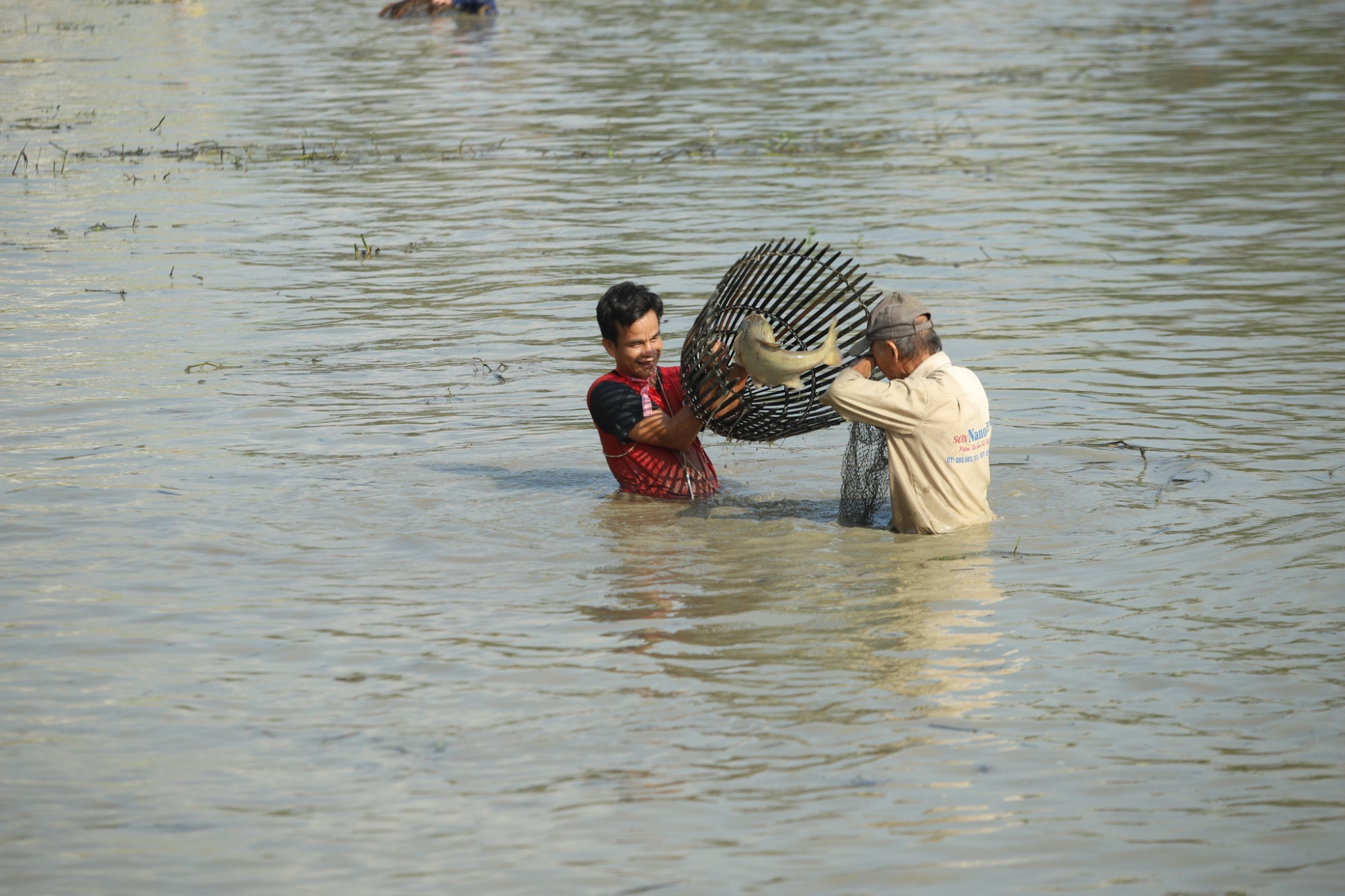 Nơm thủ hỗ trợ nhau khi bắt được cá lớn - Ảnh: Rạng Đông