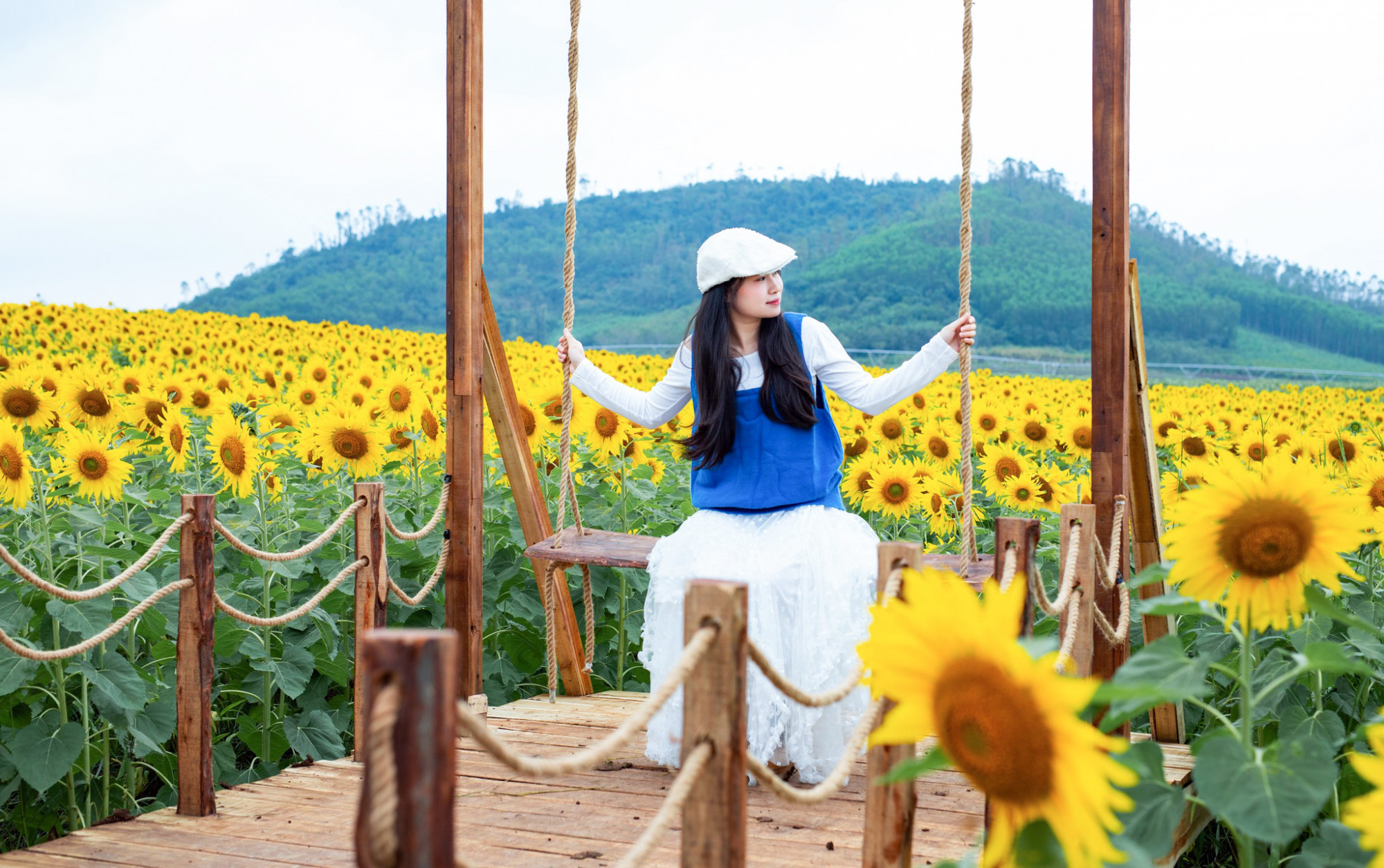 Nhiều tiểu cảnh check-in được bố trí giữa cánh đồng hoa để du khách chụp ảnh - Ảnh: Rạng Đông