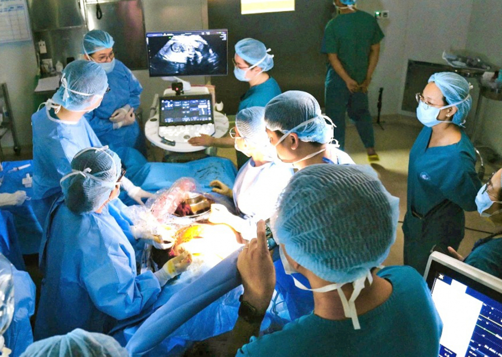 Các bác sĩ Bệnh viện Nhi Đồng 1 và Bệnh viện Từ Dũ trong ca can thiệp thông tim bào thai - Ảnh do Bệnh viện Từ Dũ cung cấp