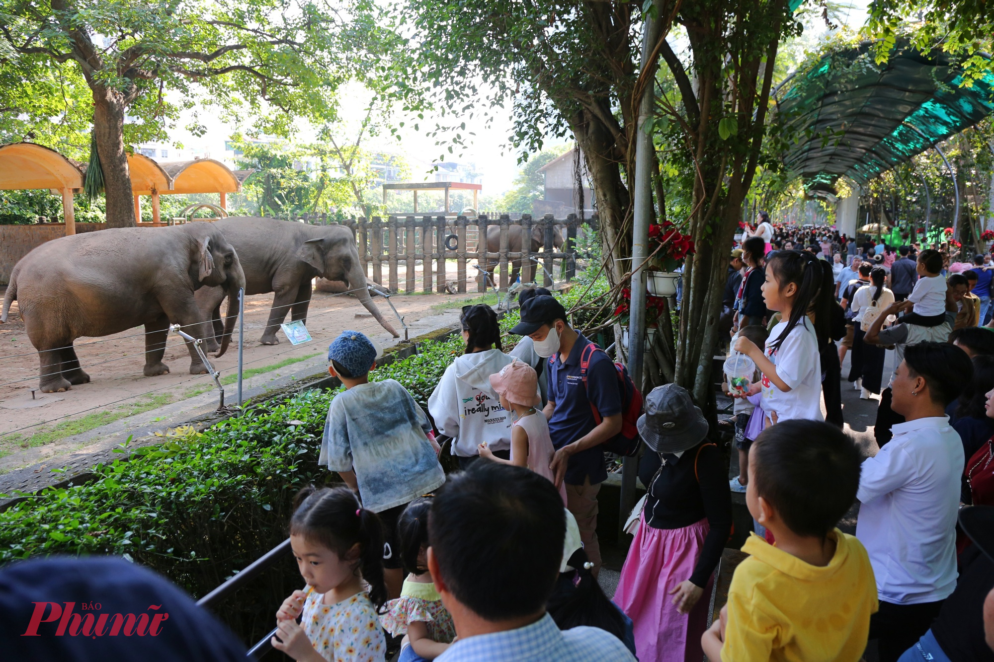 các gia đình có trẻ nhỏ hào hứng đưa con em tham quan, ngắm nhìn các loài thú quen thuộc như hươu cao cổ, voi, hổ, linh trưởng… Tiếng cười nói rộn ràng xen lẫn sự thích thú của các em nhỏ khi lần đầu được tận mắt nhìn thấy những con vật yêu thích đã tạo nên bầu không khí tươi vui, ấm áp đúng tinh thần ngày đầu năm.