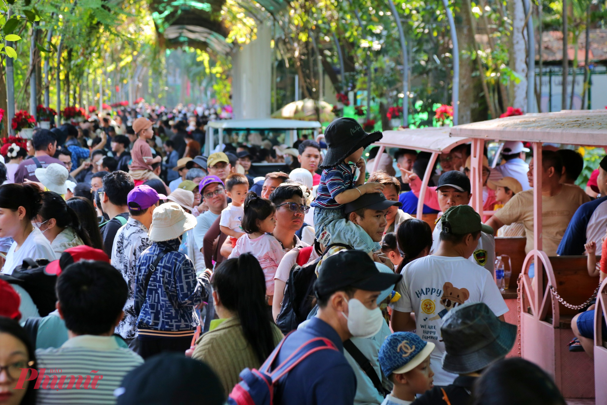 Hàng nghìn người tập trung ngắm voi khiến khu vực này chật kín.