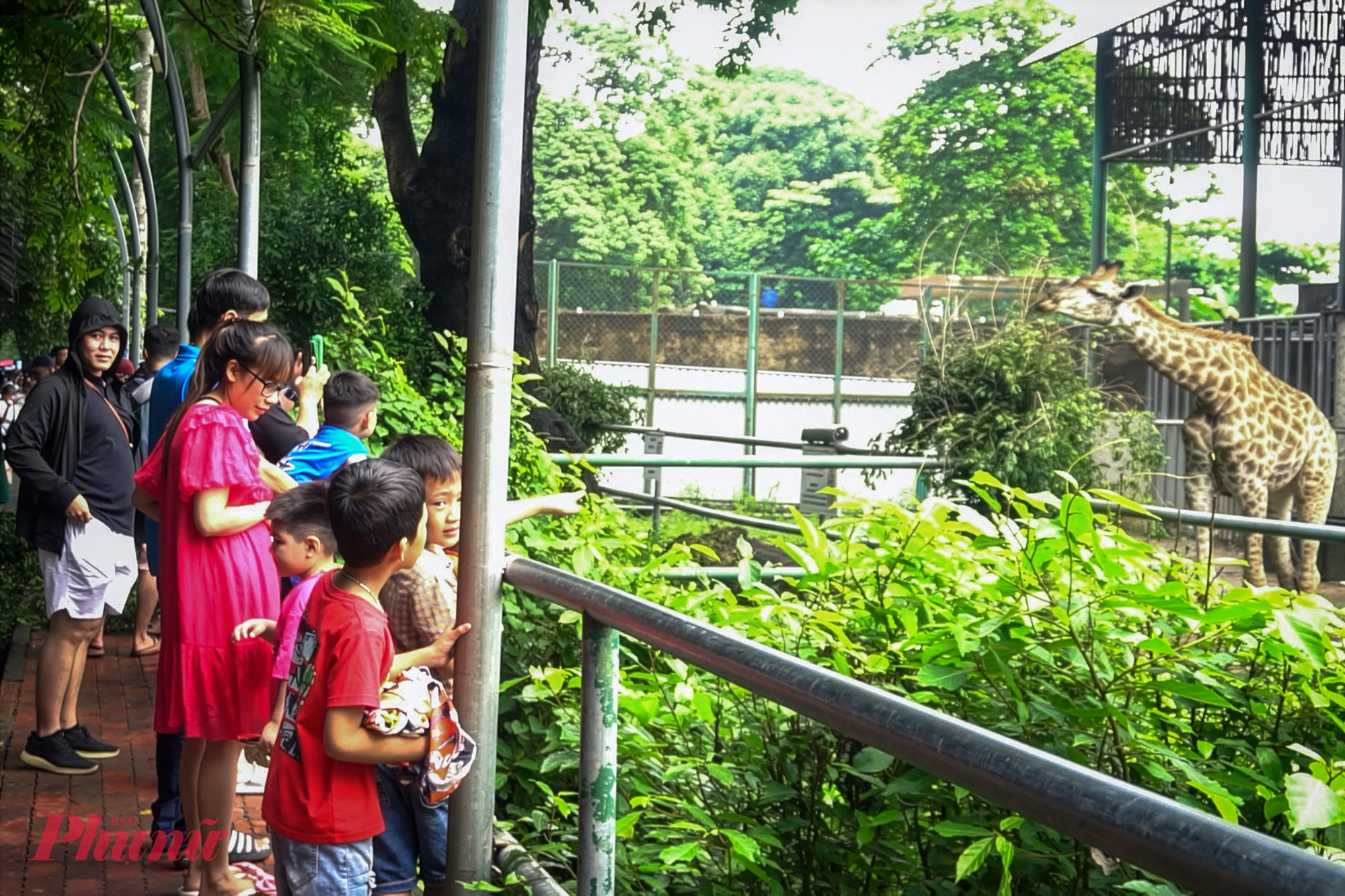 Nhiều gia đình và nhóm bạn trẻ đã tranh thủ đến từ sớm để tránh ùn tắc giao thông. Bên cạnh các hoạt động tham quan, du khách còn được tận hưởng không gian lễ hội, trải nghiệm ẩm thực đa quốc gia của của các chuỗi hoạt động “Tuần lễ Văn hóa Quốc tế - Đón mừng năm mới 2026”.