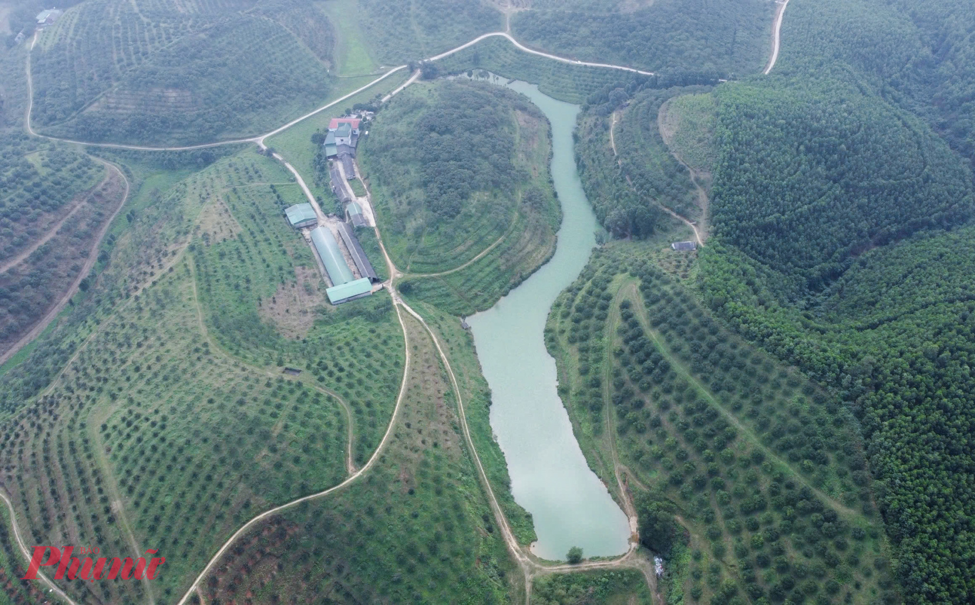 Toàn xã Kim Hoa hiện có hơn 900ha cam bù, được trồng chủ yếu trên các triền đồi