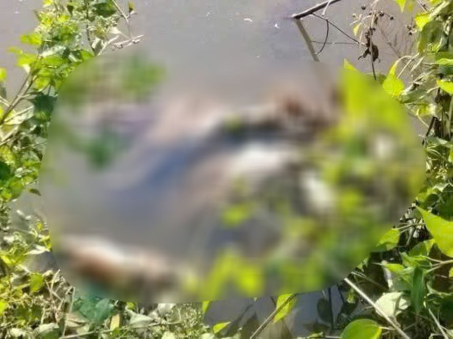 Thi thể em K. được phát hiện tử vong trong vuông tôm ở Cà Mau trước đó. Ảnh: Mạng xã hội