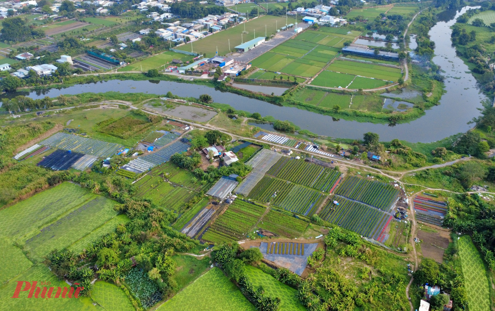 Còn hơn 1 tháng nữa đến Tết Bính Ngọ 2026, không khí lao động tại làng hoa Thới An (phường Thới An, TPHCM – quận 12 trước đây) trở nên nhộn nhịp hơn bao giờ hết. 