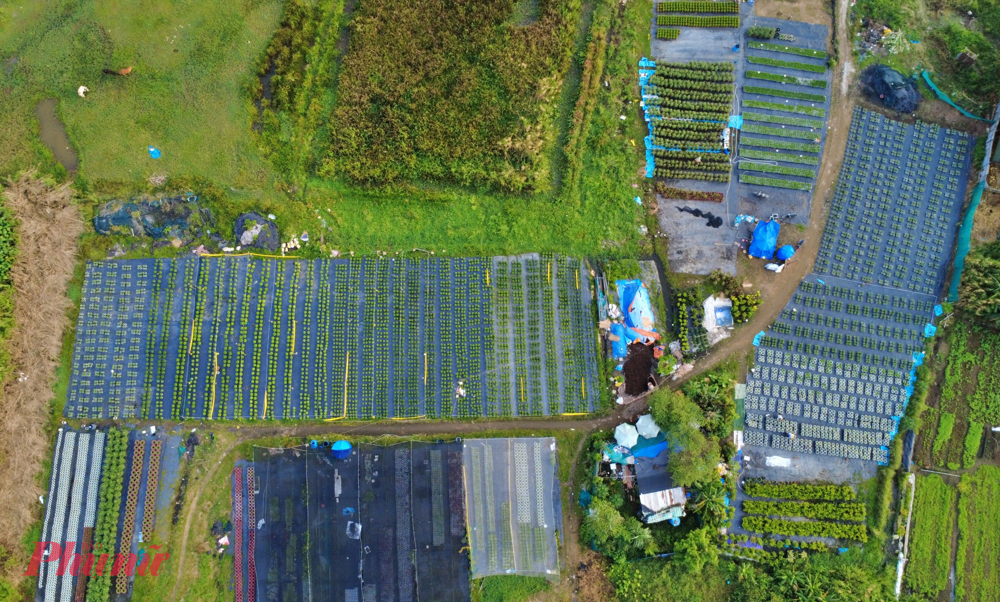 Làng hoa Thới An được xem là một trong những làng hoa lớn nhất TPHCM khi nơi đây cung ứng cho hàng trăm ngàn chậu hoa cho các chợ ở Tết ở TPHCM mỗi năm..