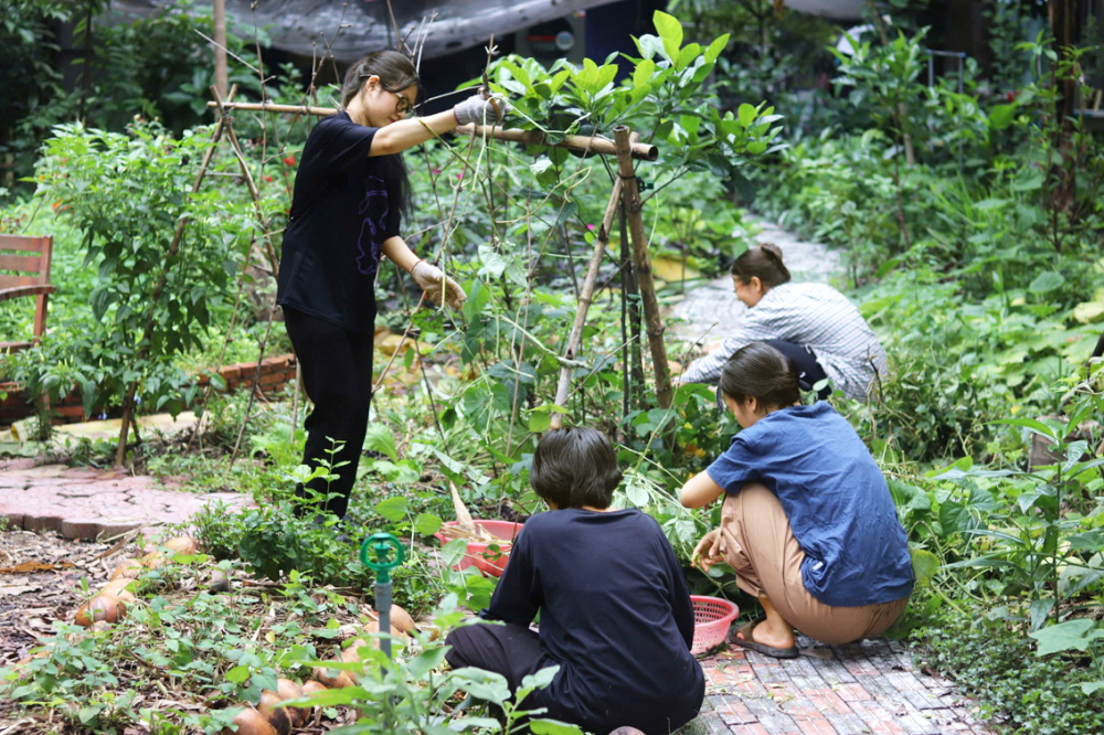 Các bạn trẻ tham gia ngày “Chăm vườn như chăm mình” hằng tuần tại Vườn Xà Bần ở Bình Quới, TPHCM  - Ảnh do Vườn Xà Bần cung cấp