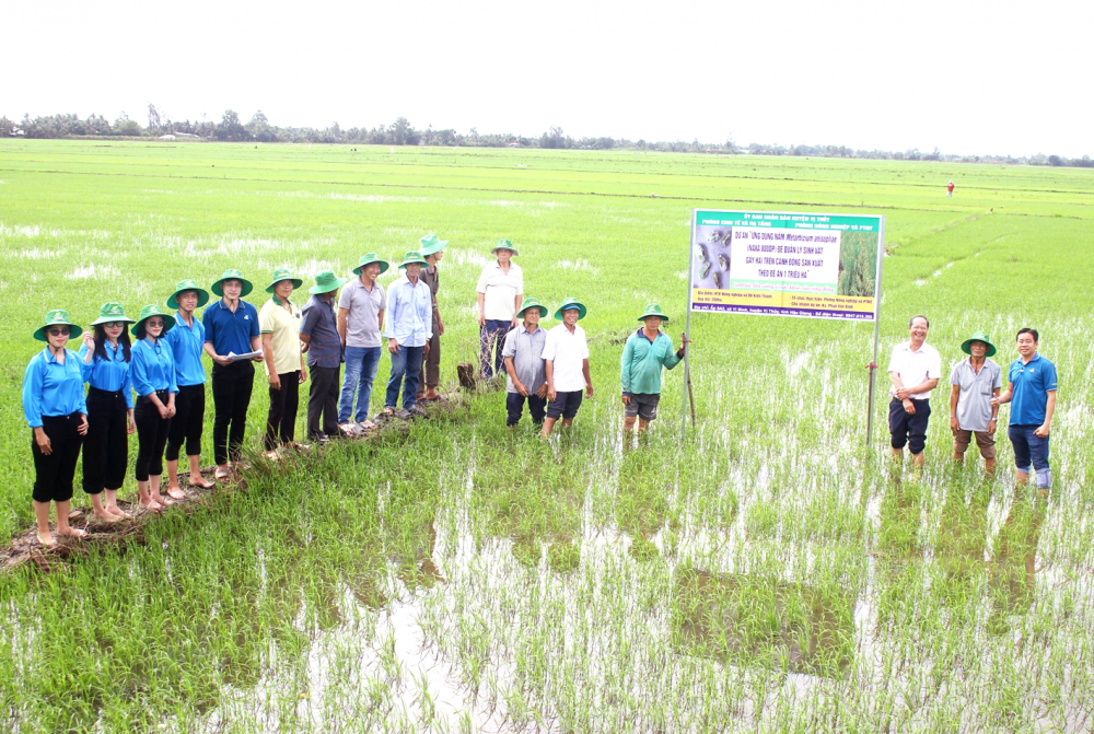 Nông dân Cần Thơ tích cực tham gia đề án 1 triệu héc ta lúa chất lượng cao, phát thải thấp 