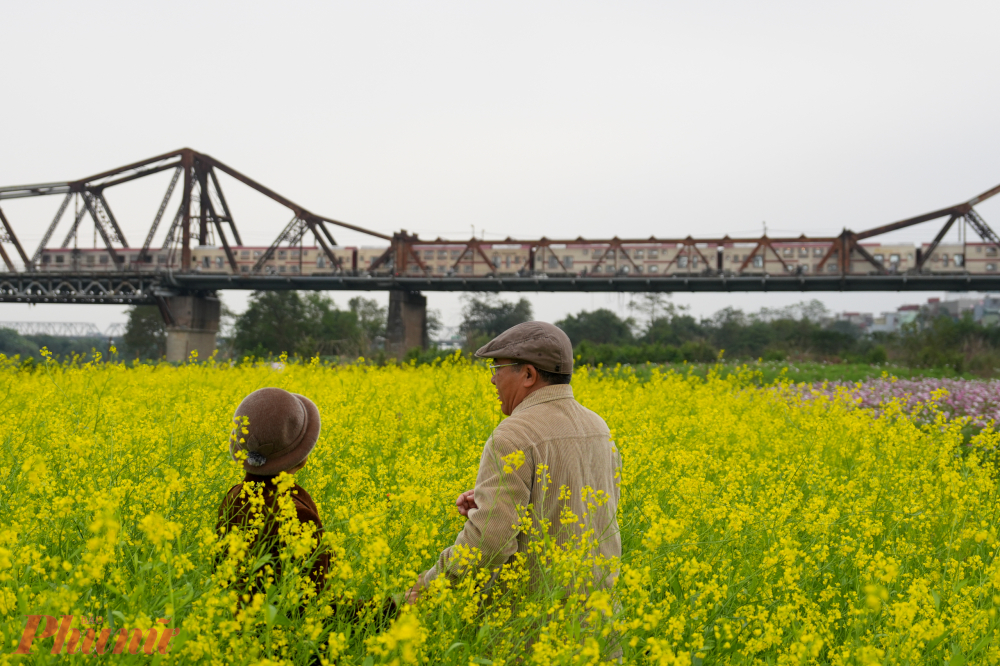 Cánh đồng hoa có cây cầu lịch sử làm nền trở nên đầy chất thơ. Khu vực này dần trở thành biểu tượng của cộng đồng, gắn kết chặt chẽ với thiên nhiên.