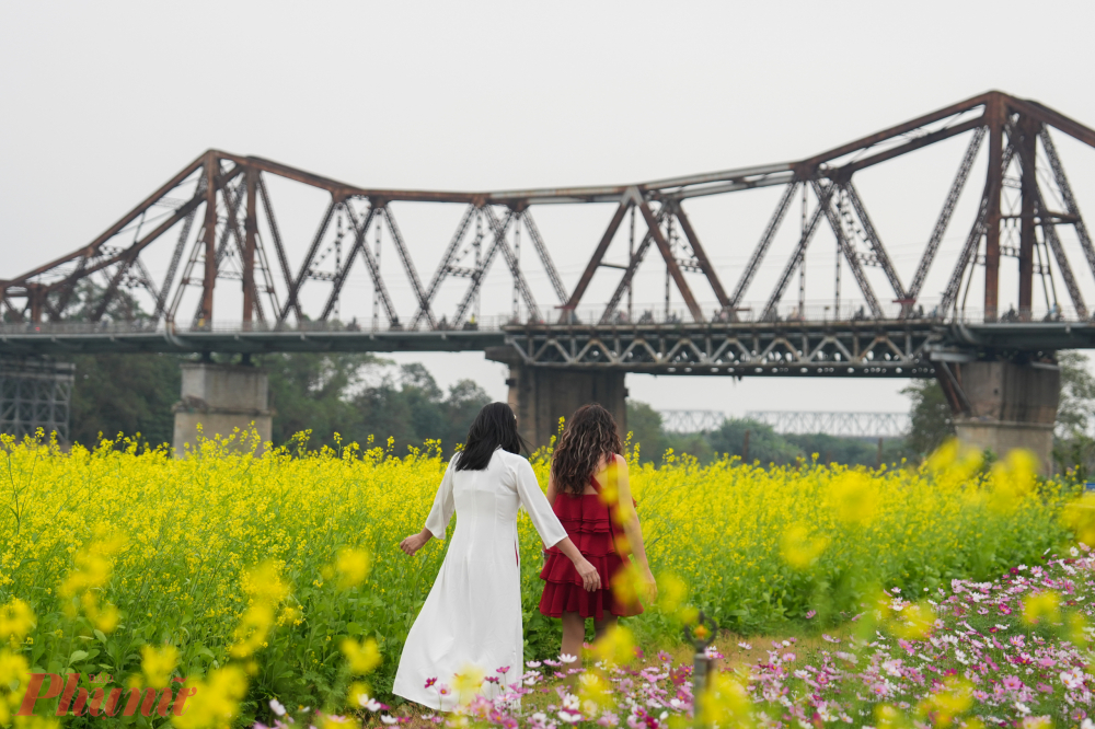 Những cành hoa cải vươn lên cao gần bằng người, đi giữa những luống cải đang bung nở rực rỡ giữa trời đông đủ để thấy lòng mình chậm lại giữa nhịp sống xô bồ.