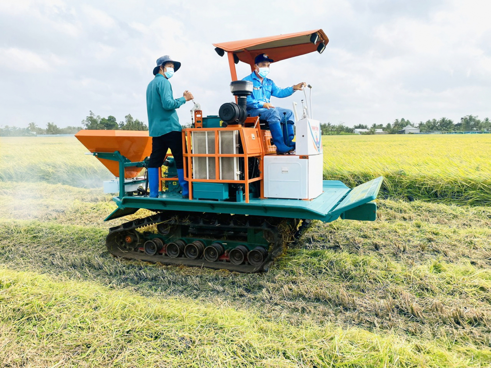 Đề án 1 triệu héc ta lúa chất lượng cao  ở đồng bằng sông  Cửu Long, áp dụng đồng bộ cơ giới hóa vào sản xuất để  giảm giá thành 