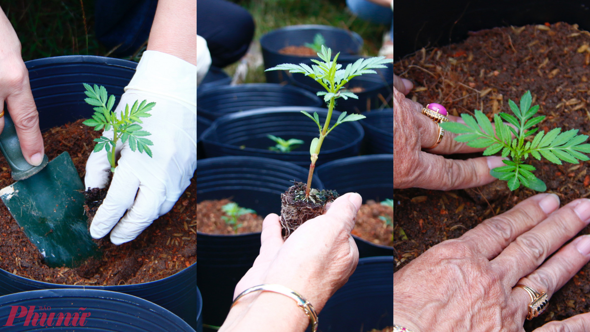 Mỗi công đoạn được các dì, chị thực hiện tỉ mĩ