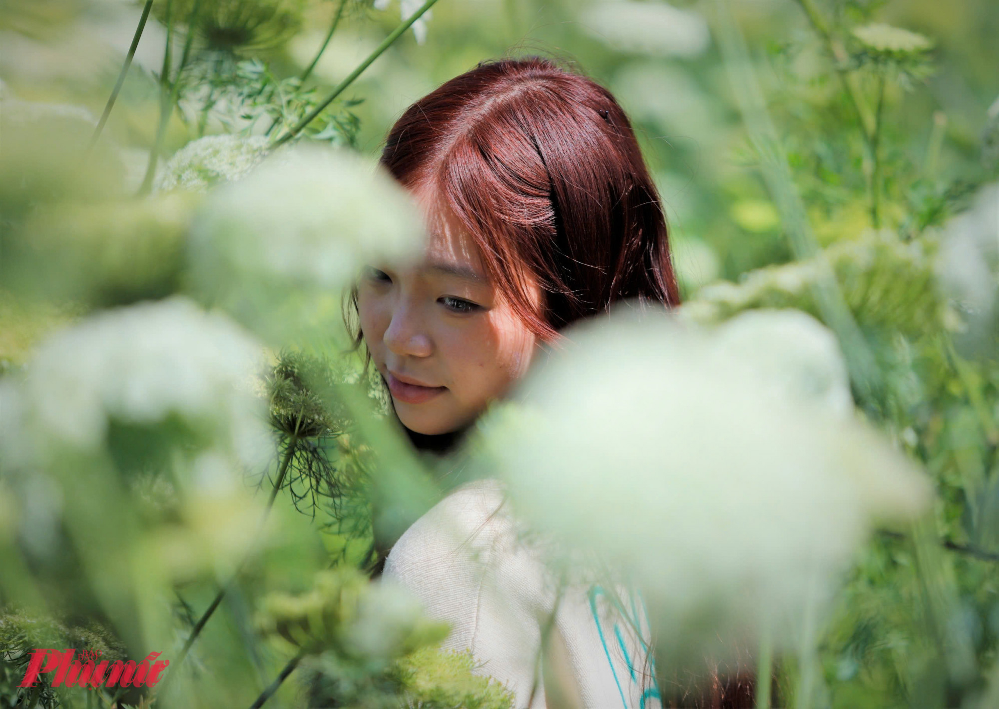 Vườn hoa cà rốt tại thôn Đá Quý (xã Xuân Thọ, tỉnh Lâm Đồng) trở thành điểm dừng chân thú vị của nhiều du khách khi những luống cà rốt đồng loạt trổ hoa, trắng muốt giữa cao nguyên.