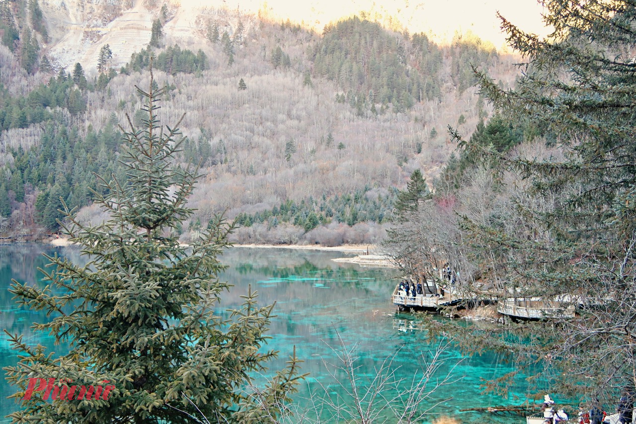 Điều đặc biệt là giữa giá lạnh, nhiều hồ nước tại Cửu Trại Câu vẫn giữ được sắc xanh đặc trưng, không bị đóng băng hoàn toàn. Nhờ hàm lượng khoáng chất cao và dòng chảy ngầm, mặt hồ trong veo, phản chiếu mây trời, tuyết trắng và rừng thông, tạo nên khung cảnh vừa huyền ảo vừa yên bình.