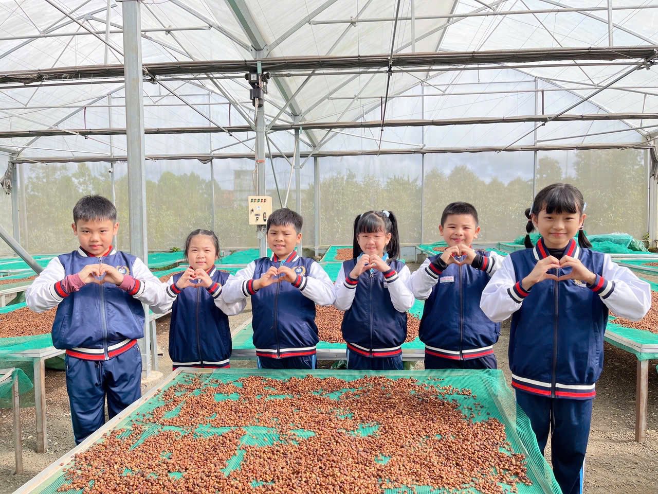 Các em còn được tìm hiểu về quy trình sản xuất khép kín từ trang trại đến ly cà phê thành phẩm, cũng như cách phân biệt hai giống cà phê phổ biến là Robusta và Arabica - ảnh: Đình Tư.