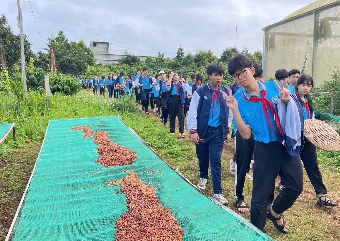 Tại trang trại Aeroco Coffee (phường Ea Kao, tỉnh Đắk Lắk), không gian xanh mát bỗng trở nên rộn ràng hơn bởi tiếng cười nói, bước chân háo hức của những “nông dân nhí”.