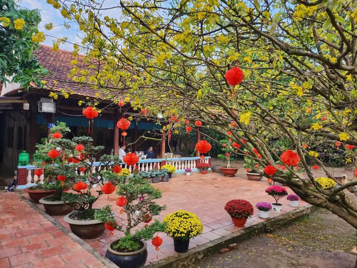 Nhà nội tôi, nơi mấy chị em lớn lên ở đó (ảnh Thuỳ Gương)