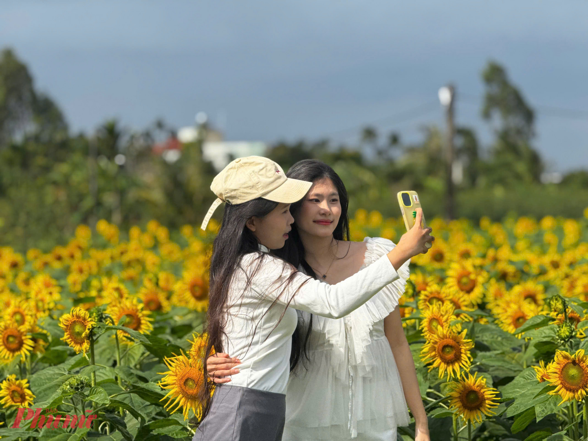 Bạn Nguyễn Thị Hoài (23 tuổi, trú phường Cẩm Thành) cho biết, đã cùng bạn bè đến vườn hoa từ sáng sớm. Buổi sáng hoa tươi, ánh sáng đẹp nên chụp ảnh rất “ăn hình”. Mỗi góc đều có thể tạo dáng, chỉ cần đứng vào là có ảnh đẹp.
