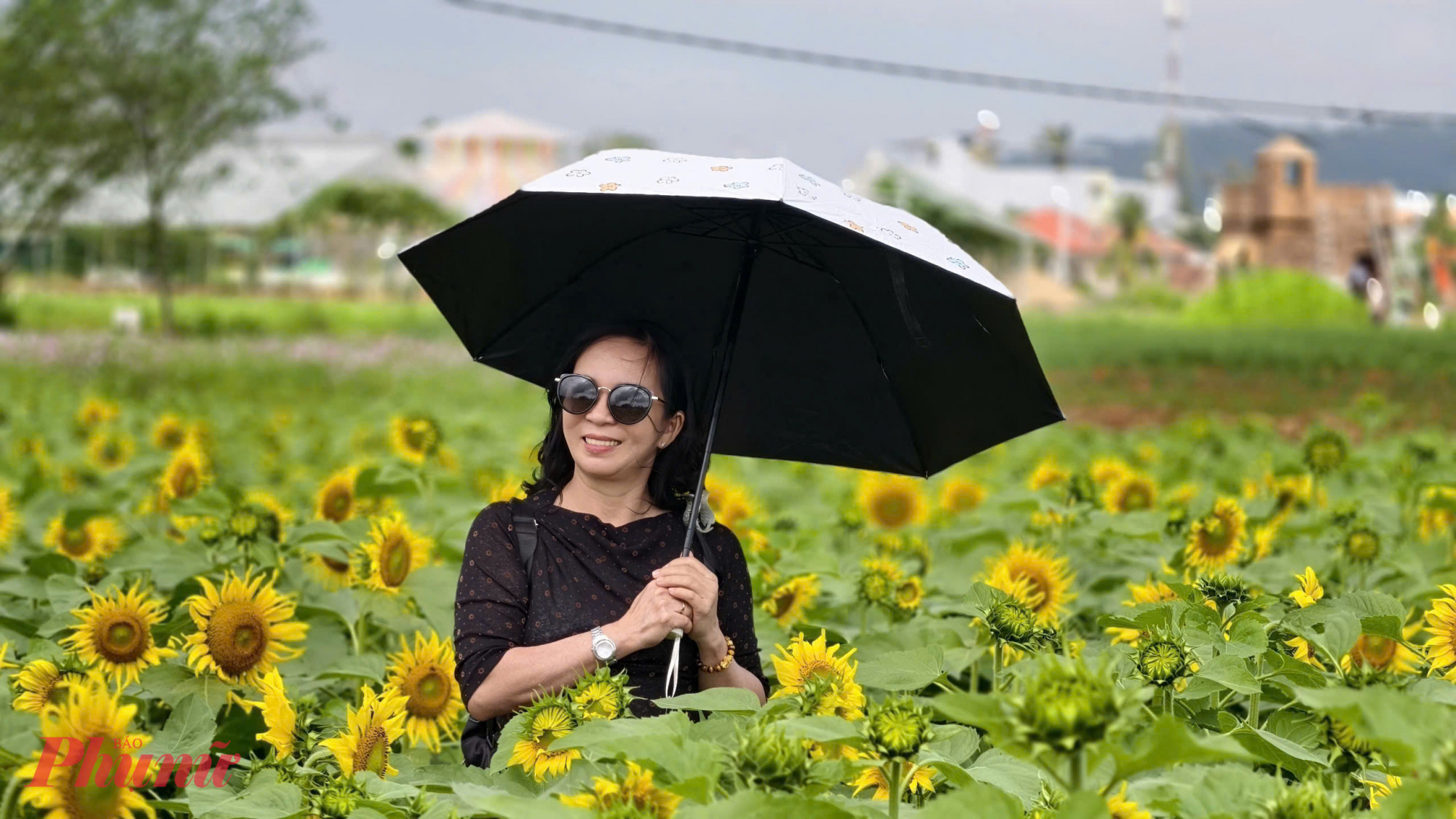 “Lâu rồi địa phương mới có chỗ nhiều hoa, rộng và đẹp như vậy. Hoa nở vàng rực, nhìn rất vui mắt, đi một vòng thấy tinh thần thoải mái hơn hẳn”, bà Bảy nói.