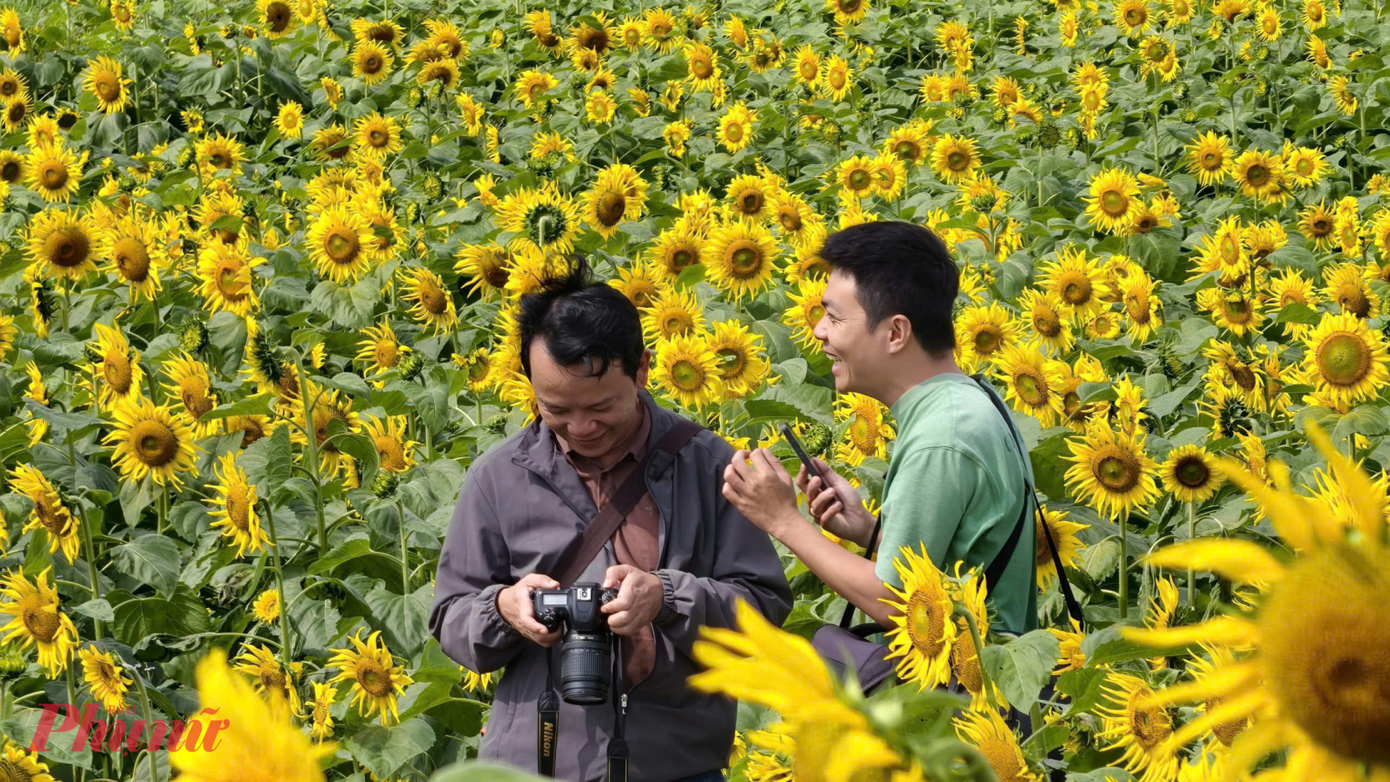Trong đó, có nhiều người lựa chọn thời điểm buổi sáng hoặc chiều muộn để tận hưởng ánh nắng dịu, tránh cảnh đông đúc và có được những bức hình ưng ý nhất.