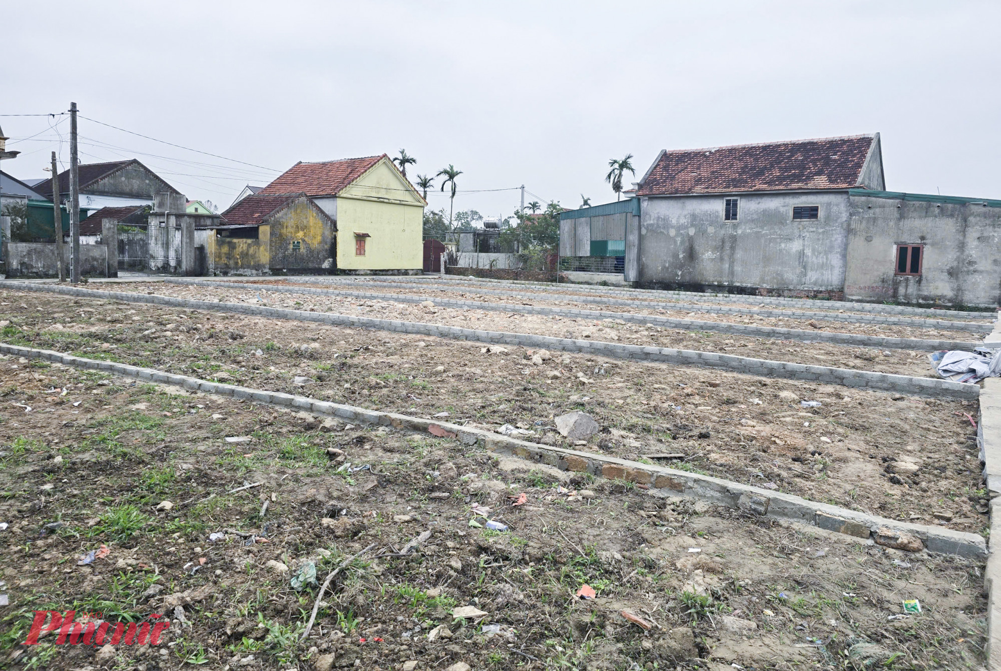 Đường làng ở Nghệ An chật kín ô tô người đi mua đất Một thửa đất cạnh khu đấu giá đất Rú Cụp được chia lô