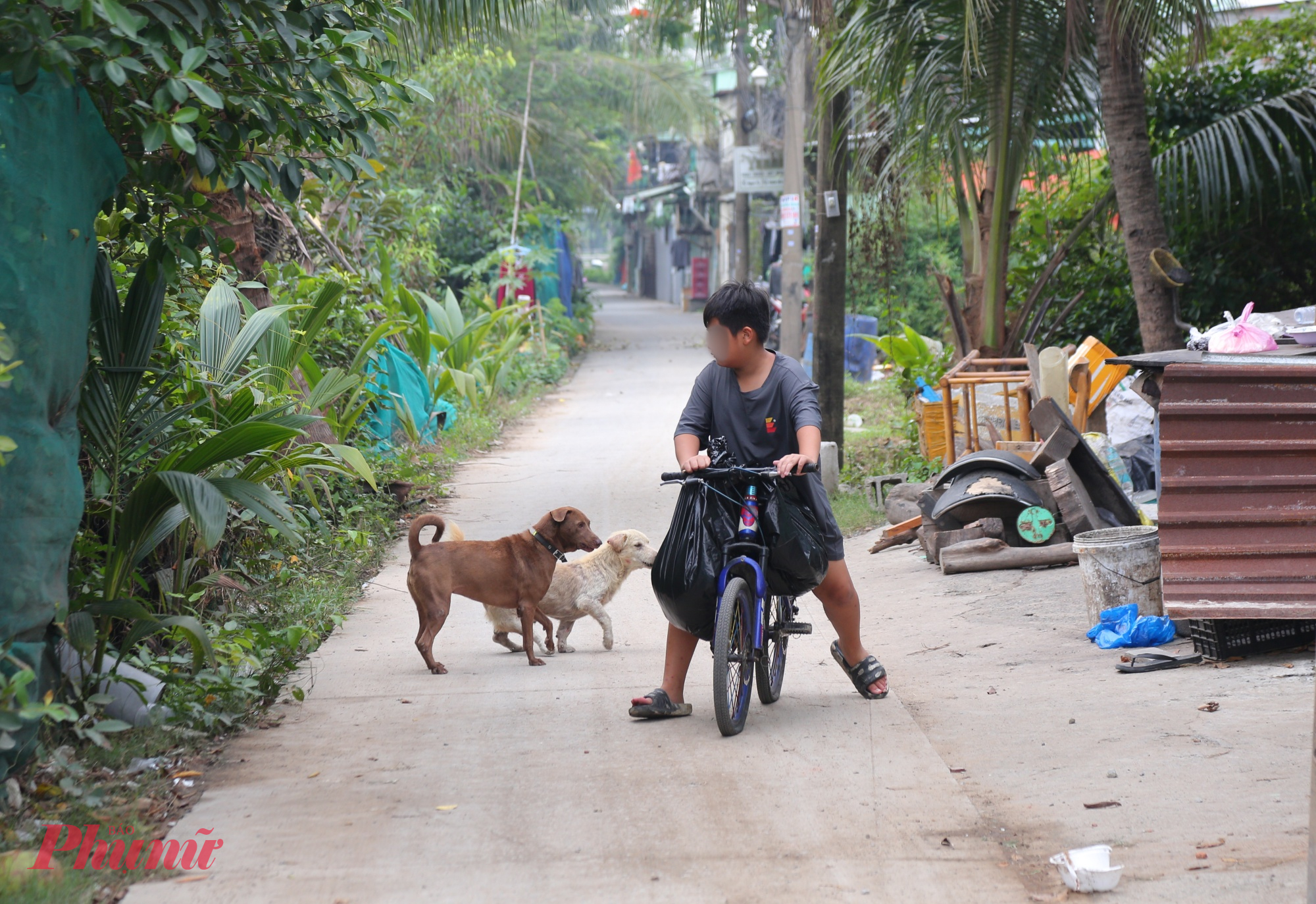 Một số tuyến đường nhỏ bê tông dẫn vào các căn nhà tạm bợ. 