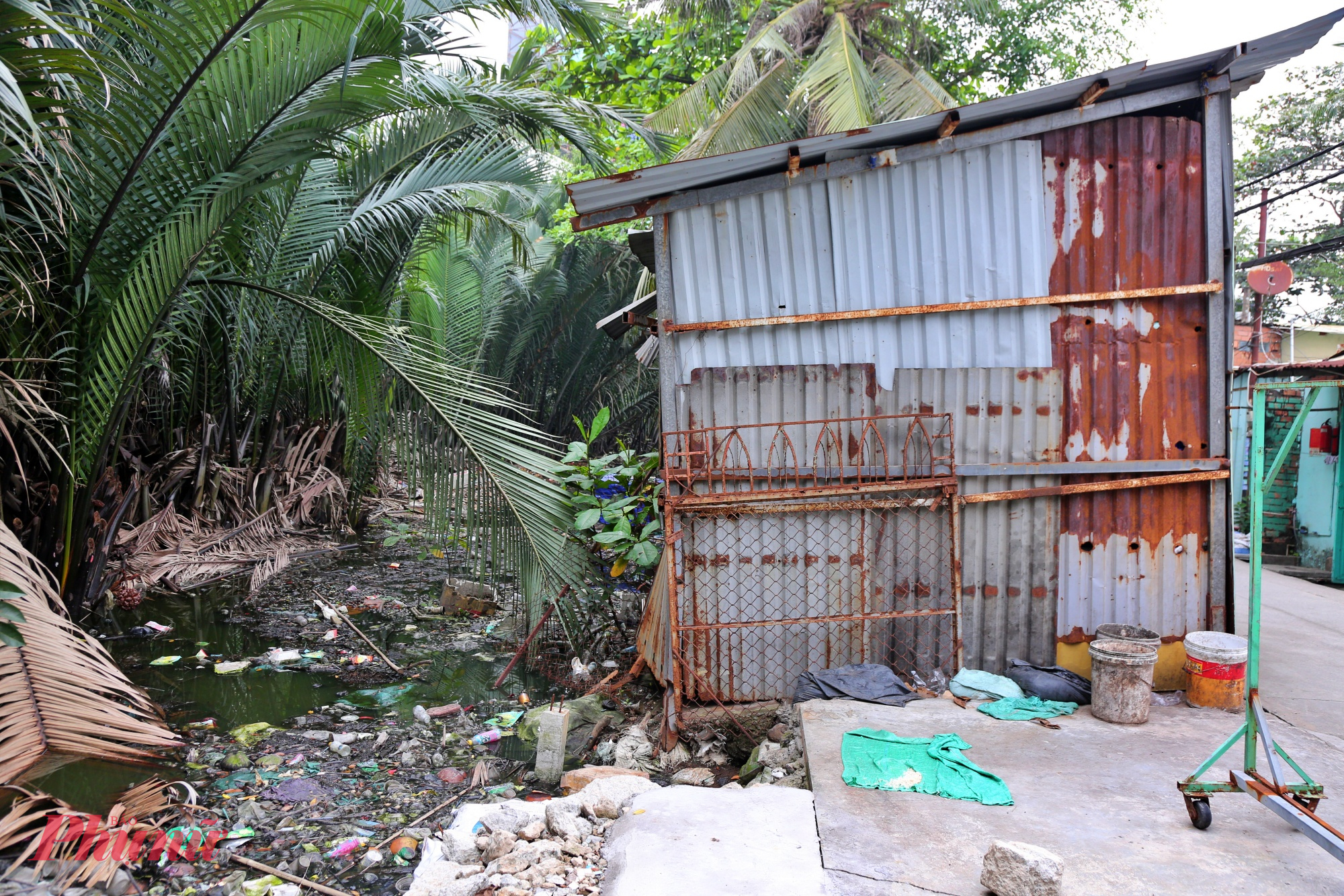 khu vực này hiện vẫn còn nhiều đầm lầy, cây cối rậm rạp, hệ thống thoát nước chưa hoàn chỉnh nên thường xuyên bị ngập, nước đọng quanh năm, gây ô nhiễm môi trường và ảnh hưởng đến sinh hoạt. 