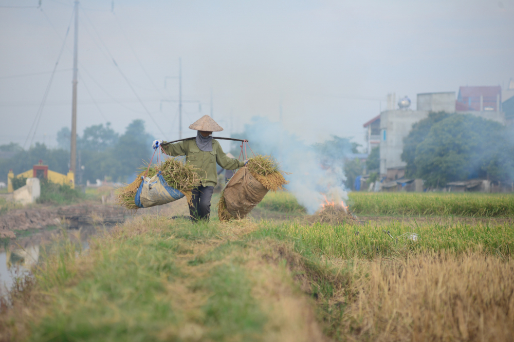 Đốt rơm rạ, rác thải là một trong những nguồn gây ô nhiễm bụi mịn (Ảnh: Bảo Khang)