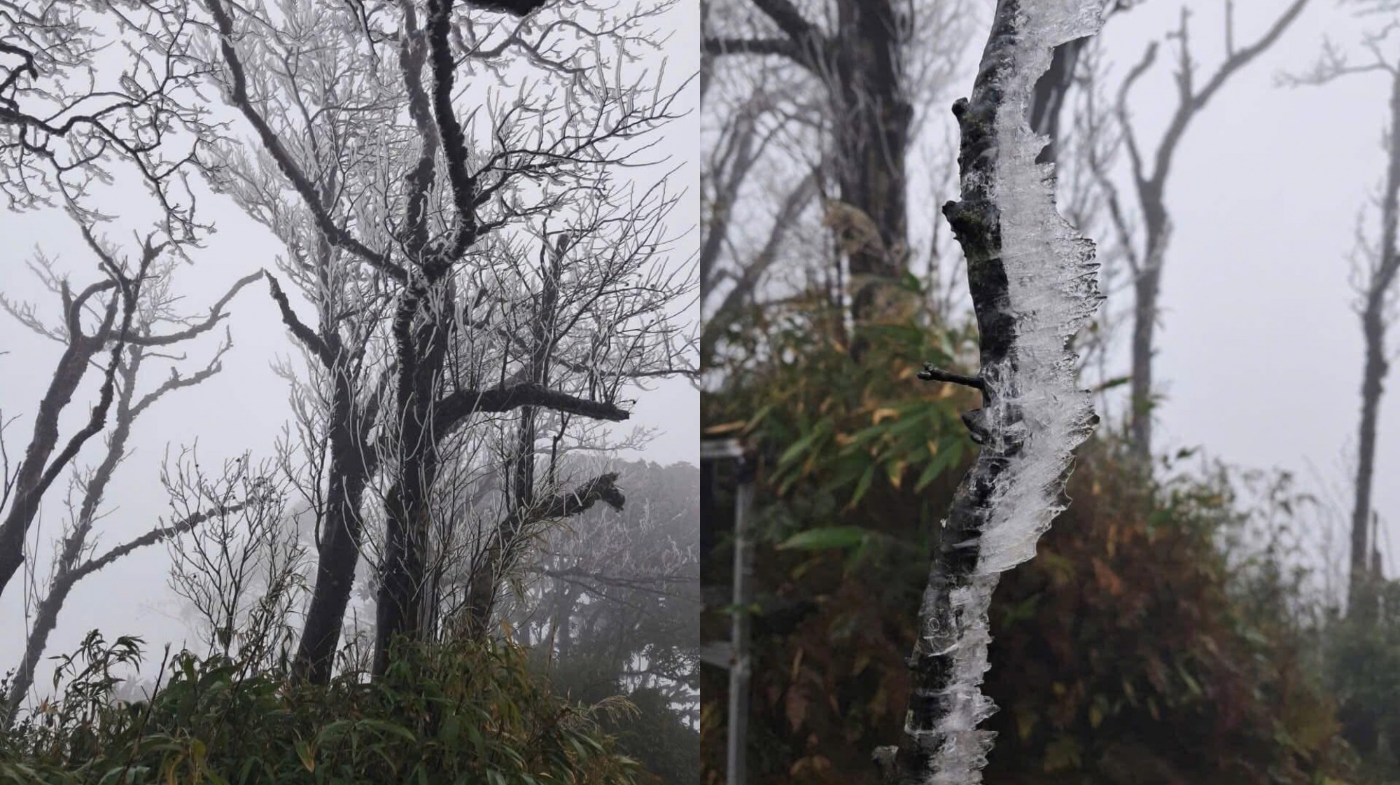 Băng giá xuất hiện tại Fia oắc Cao Bằng ngày 6/1 vừa qua - Ảnh: Ducdaoanh