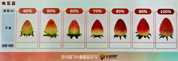 Hình ảnh dâu tây chín đỏ đậm và dâu còn nhạt màu