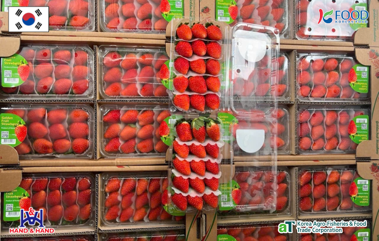 Dâu tây Hàn Quốc chín đỏ đậm, màu sắc đồng đều